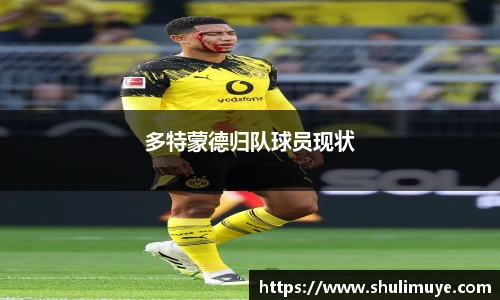 xingkong官方网站